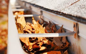 Pested gutter cleaning companies
