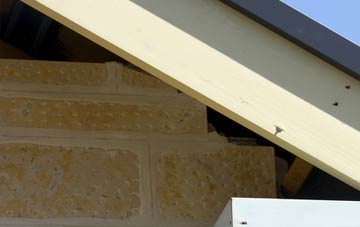 soffit repair Pested
