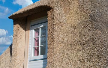 Pested thatch roof disadvantages