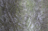 Pested fibreglass roof work