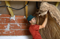 Pested tapered roof insulation